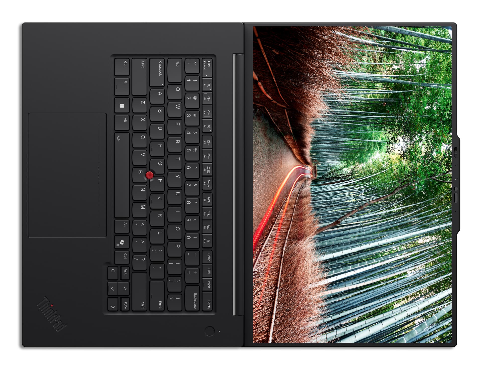 Portátil - Lenovo ThinkPad T1g Gen 8 Profesional, 16" WUXGA, Intel® Core™ Ultra 7 265H, 32GB RAM, 1TB SSD, GeForce RTX™ 5070, Windows 11 Pro - imagen 13
